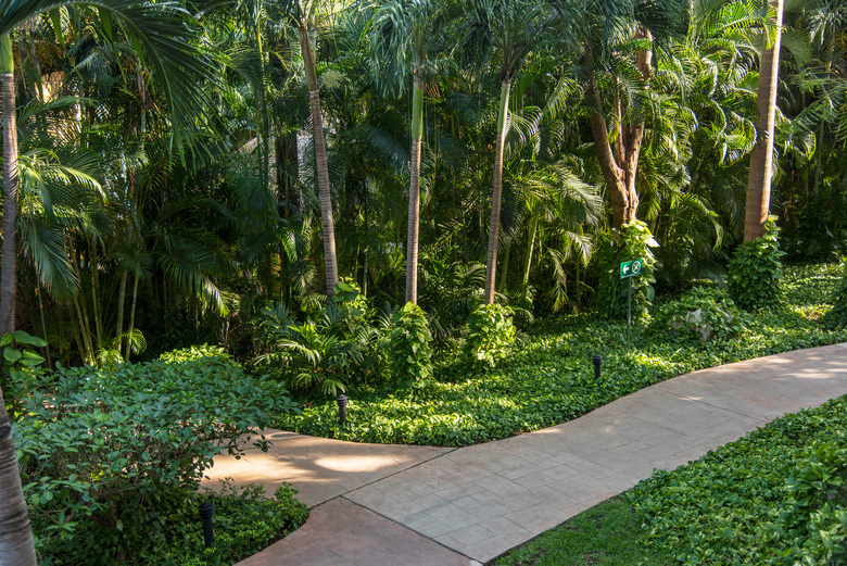 Hotel Occidental Tamarindo