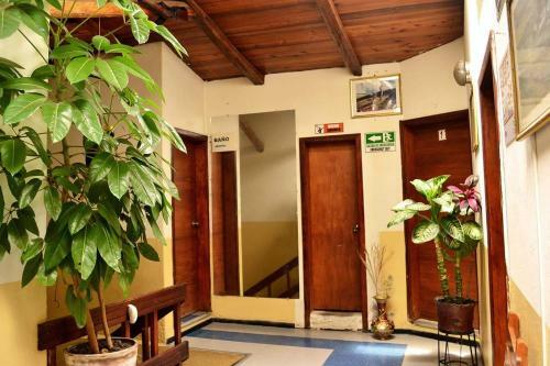 Hostal Condor Matzi