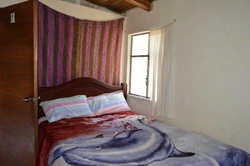Hostal Condor Matzi