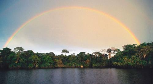 Amazon Dolphin Lodge