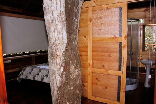 Agroturismo Casa Arbol Salango