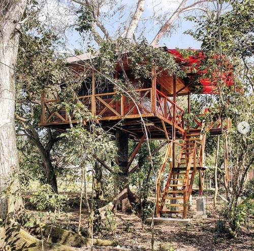 Agroturismo Casa Arbol Salango