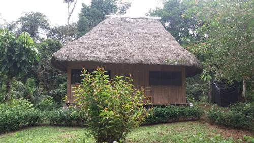 Posada Dolphin Lodge Napo River
