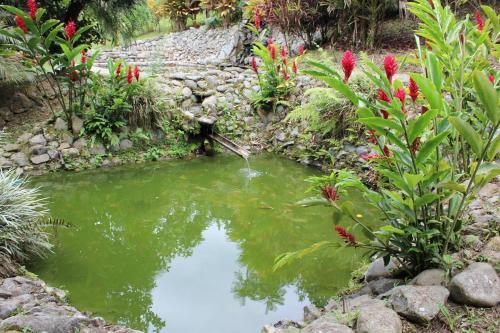 Posada Herminia�s Farm