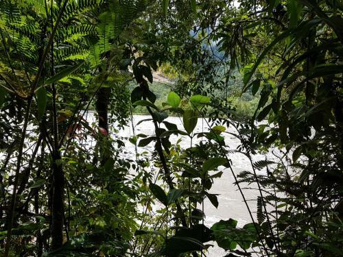 La Penal Amazon Lodge