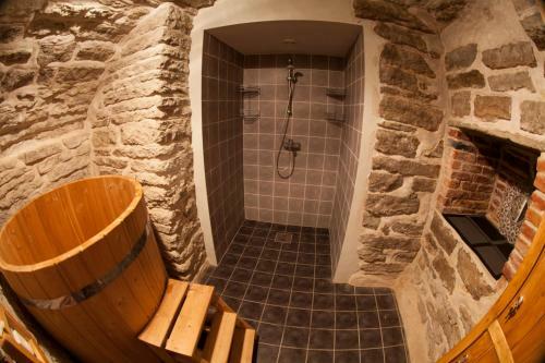 Old Town Sauna Apartment