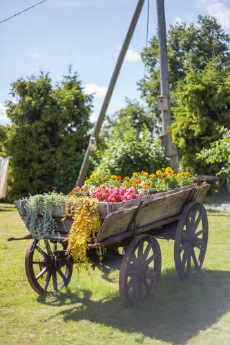 V�striku Holiday Home
