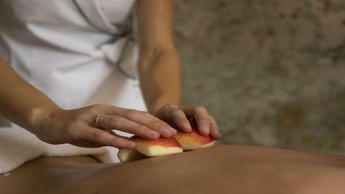 Hotel Castle Spa Wagenk�ll