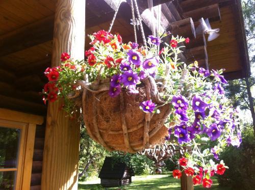 Neti Holiday House