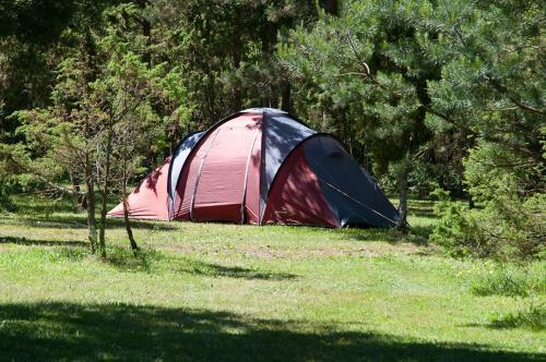 Tehumardi Camping