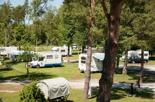 Tehumardi Camping