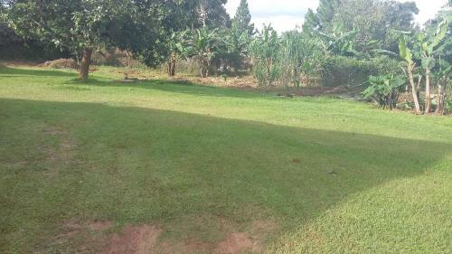 Tamasha Bed And Breakfast