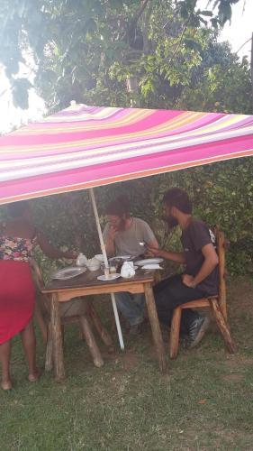 Tamasha Bed And Breakfast