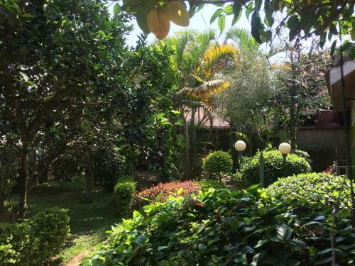 Hostal Cross Roads Suites