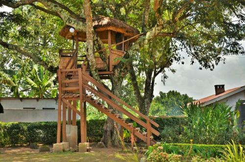Agroturismo Bwigamiro Country Home
