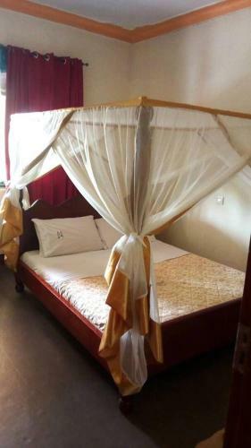 Albergue St. Patrick?s Forest House