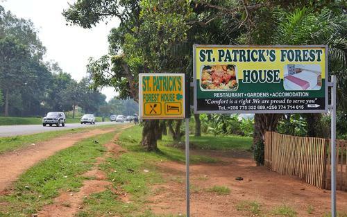 Albergue St. Patrick?s Forest House