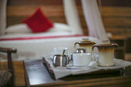 Pakuba Safari Lodge