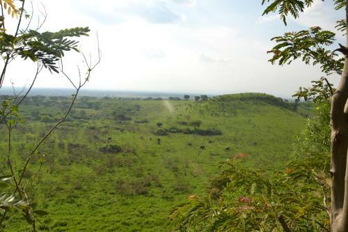 Lodge Pumba Safari Cottages