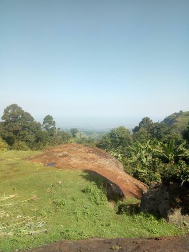 Fredson's Homestay