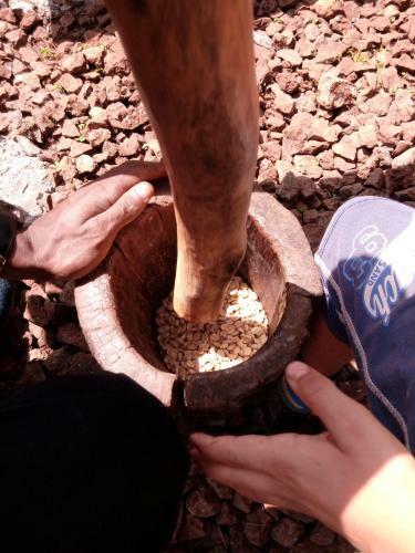 Fredson's Homestay