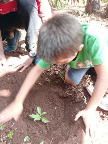 Fredson's Homestay