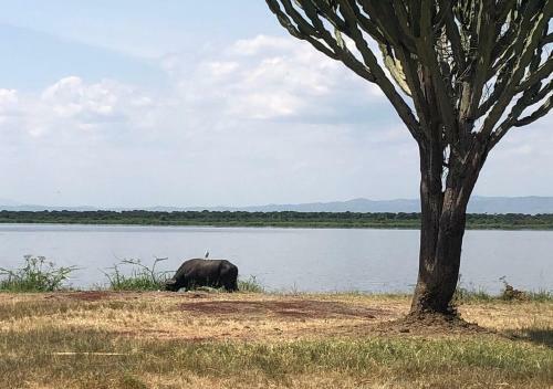 Hotel Kasenyi Lake Retreat & Campsite
