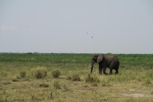 Hotel Kasenyi Lake Retreat & Campsite