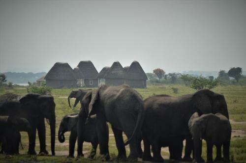 Hotel Kasenyi Lake Retreat & Campsite