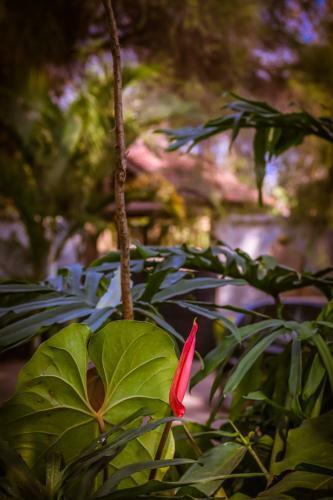 Bed & Breakfast Zawadi House Lodge