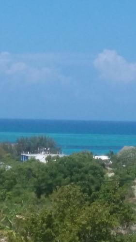 Bed & Breakfast Royal Palm Kendwa