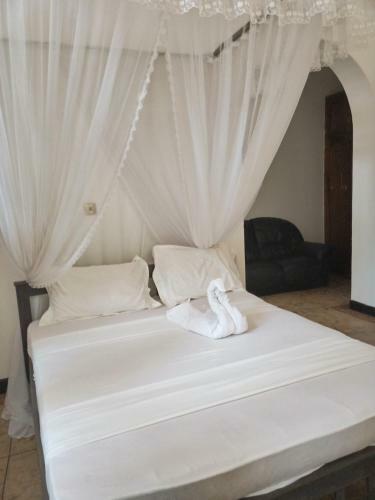 Posada Emerald House