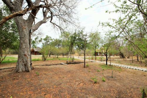 Africa Safari Selous