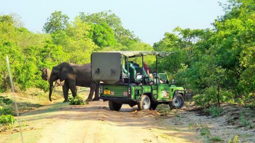 Africa Safari Selous