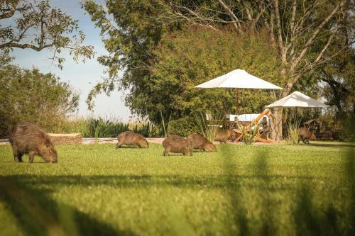 Hostal Posada Aguap�