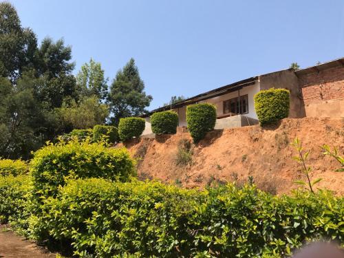 Albergue Kanaani Resthouse