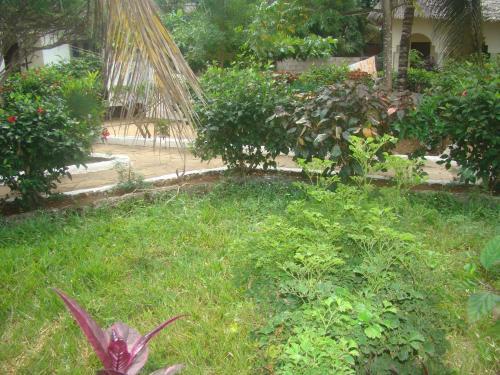 Bed & Breakfast Yellow Beach Bungalow
