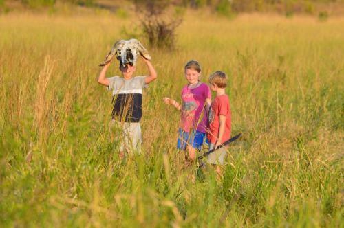 Lodge Kisampa Bush Retreat