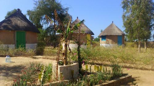 Bed & Breakfast La Palangrotte