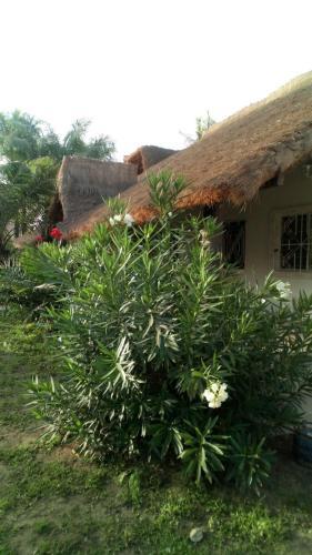 Les Maisons De Marco Senegal