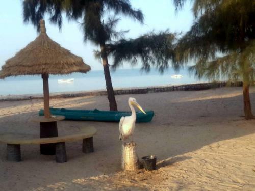 Lodge Keur Ocean