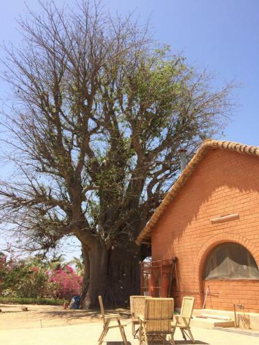 Baobab Lodge