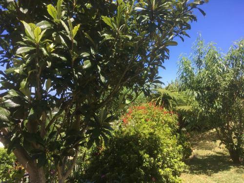 Bed & Breakfast Caloupil�