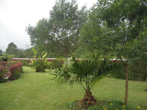 Bed & Breakfast L'echelle
