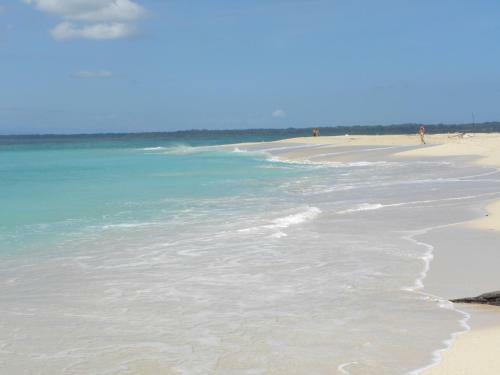 Bed & Breakfast Paradise Waits Hotel