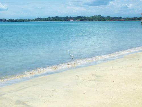 Bed & Breakfast Paradise Waits Hotel