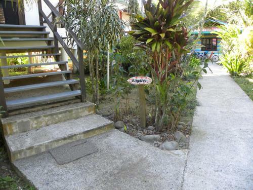 Bed & Breakfast Paradise Waits Hotel
