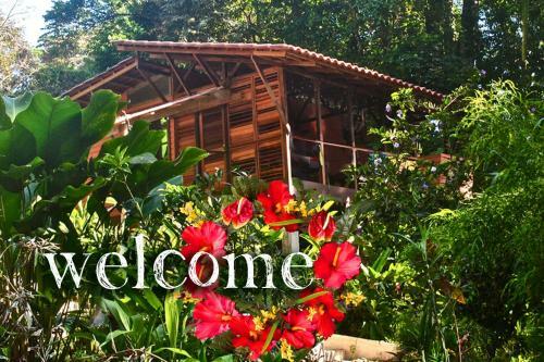 Monkey Tree Retreat By The Sea