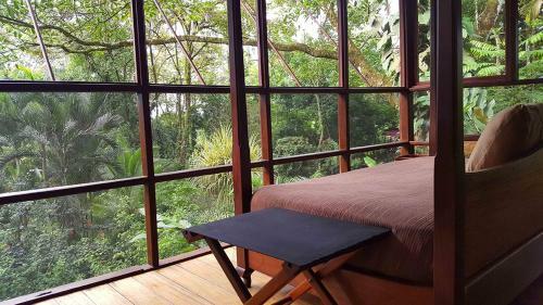 Monkey Tree Retreat By The Sea