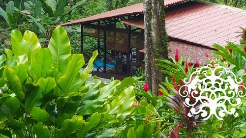 Monkey Tree Retreat By The Sea